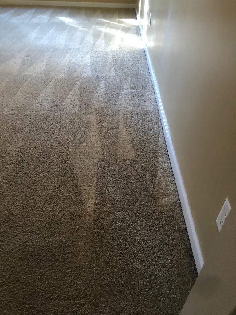 2c87ace5-fb53-4cb1-9dc9-e6c2896a810d (1)