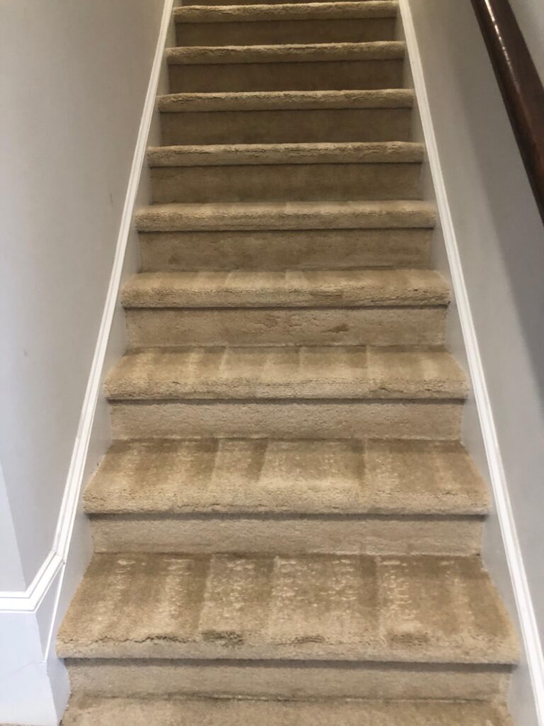 57ddc23b-4b12-48e8-ac9b-fe2bc7f92b70