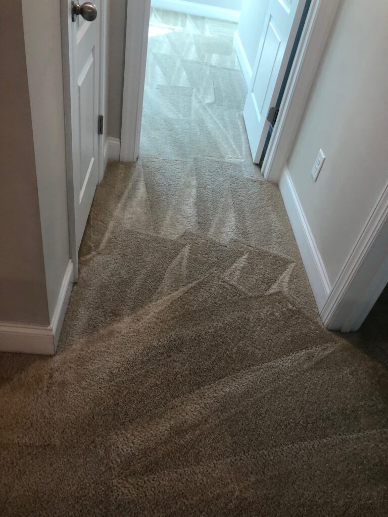 d3b5cfbd-ec1a-4948-8c9c-a85d521ff6fc (1)